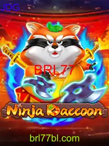 NinjaRaccoon